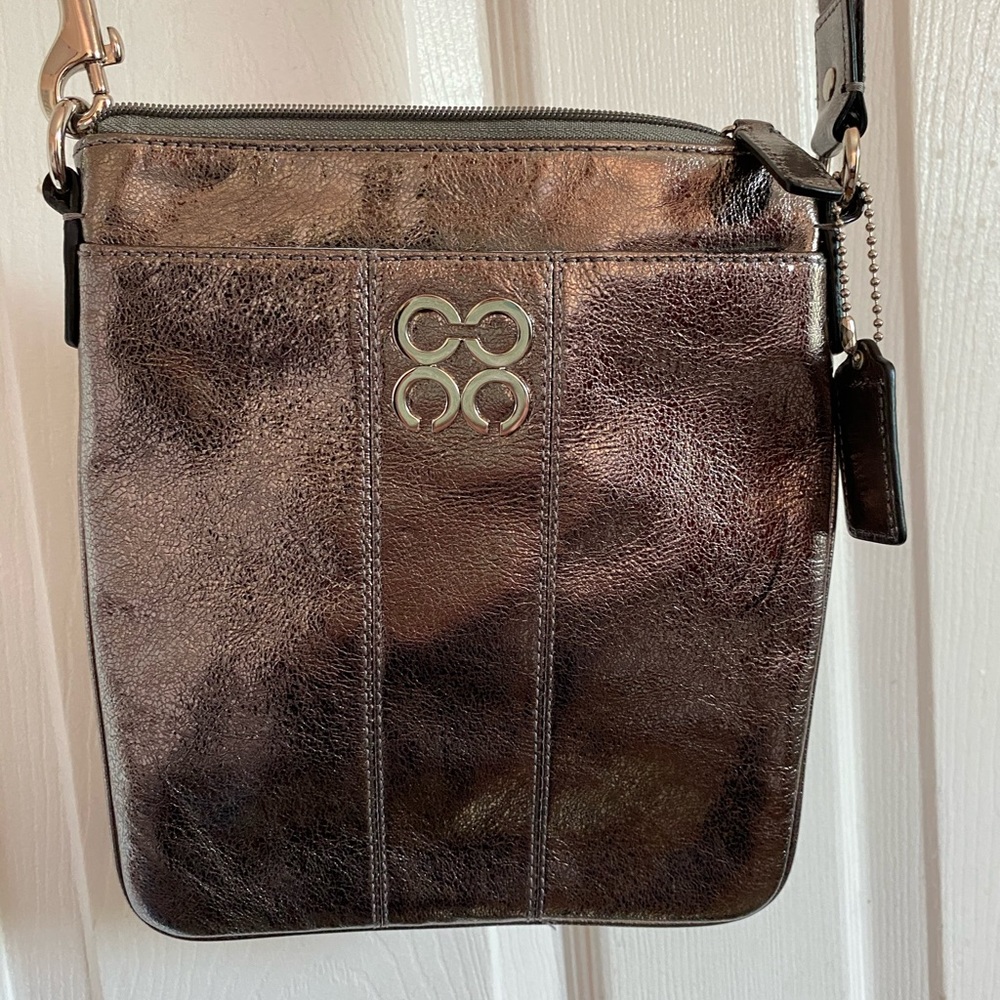 Bronze Coach saddle bag